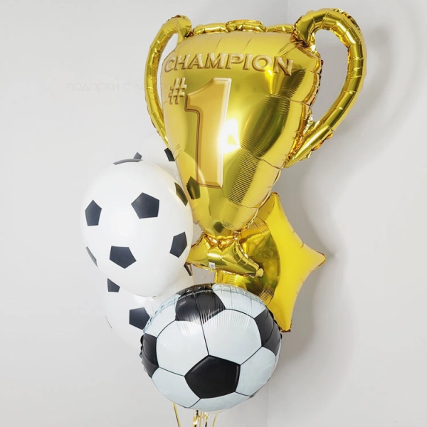 Набор "Чемпиону футбола"