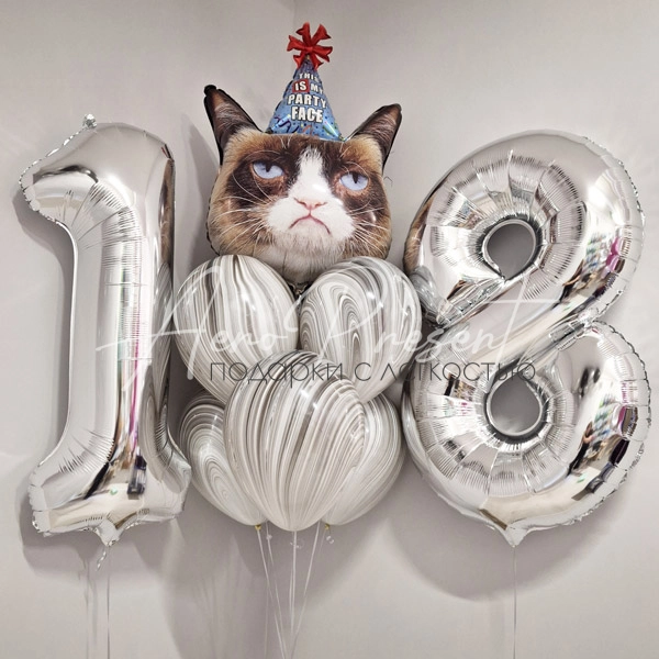 Набор "Сердитый кот"