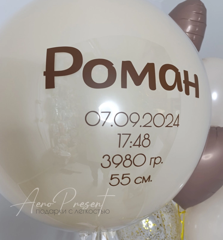 Набор шаров на выписку "Моккачино"