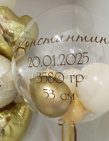 Набор на выписку мальчика с львенком