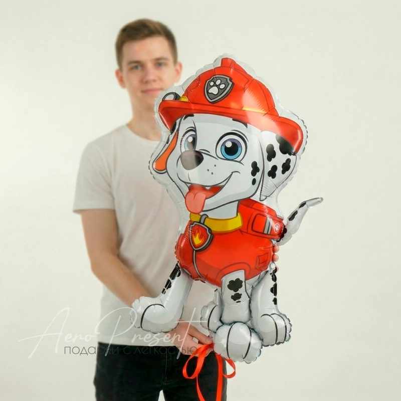 Фольгированный шар "Маршал"