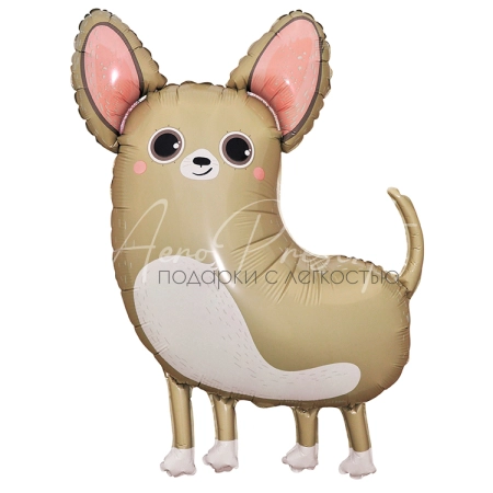 Чихуахуа, фольгированный шар