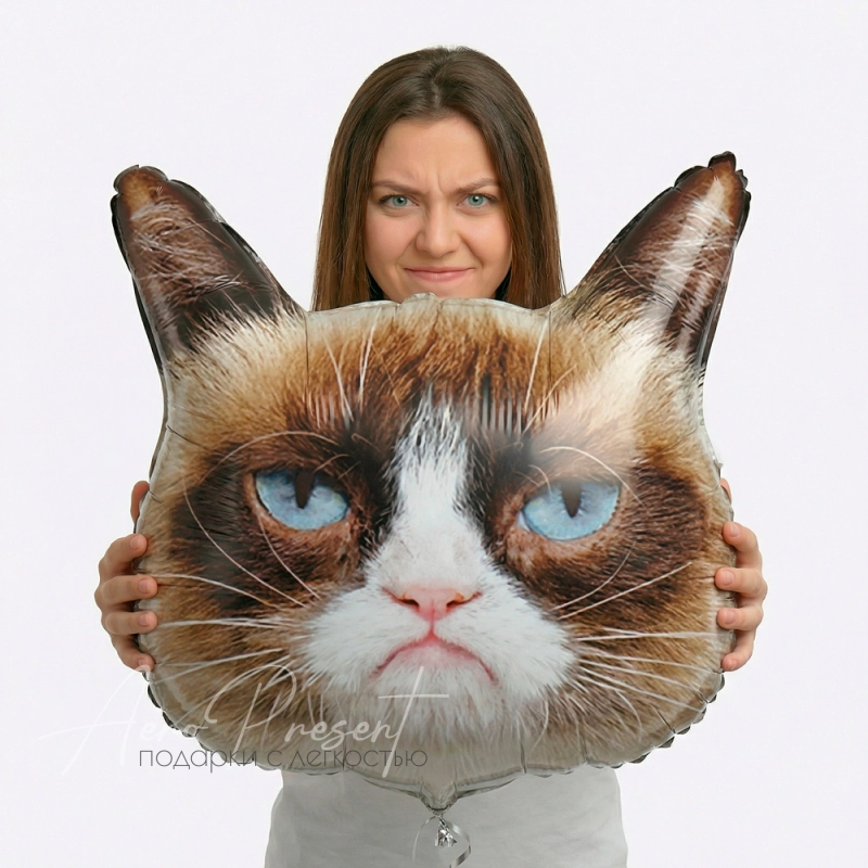 Фольгированный шар Фигура, Сердитая кошка