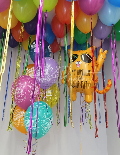 Набор шаров "Яркий котофей"