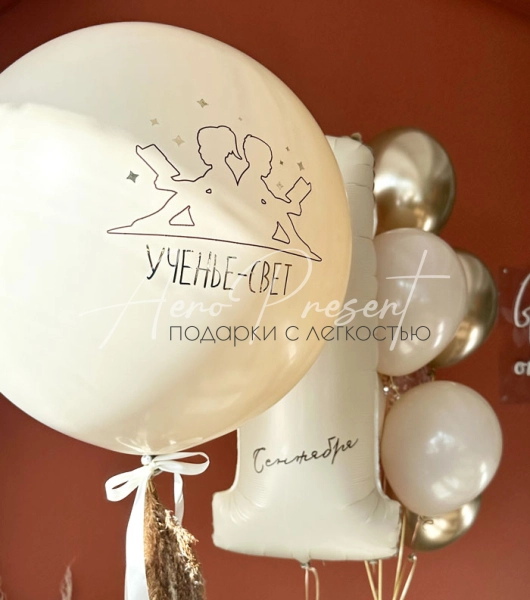 Набор на 1 сентября "Бежево-золотой"