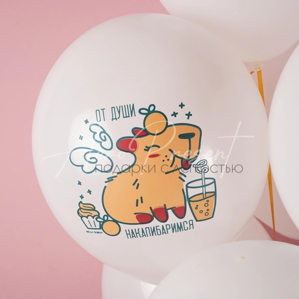 Воздушные шары "Капибара"