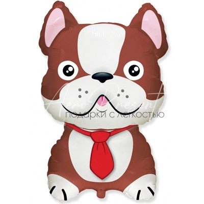 Бульдог коричневый, фольгированный шар