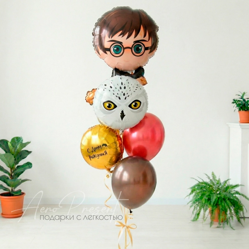 Набор шаров "Гарри и Букля"