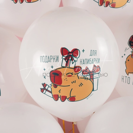 Воздушные шары "Капибара"
