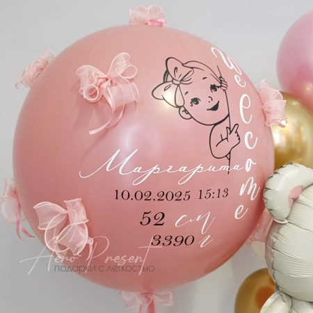 Набор шаров новорожденной девочке "Северный мишка"