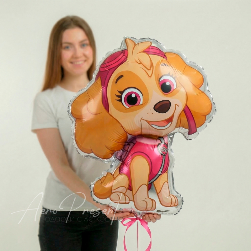 Фольгированный шар "Скай"