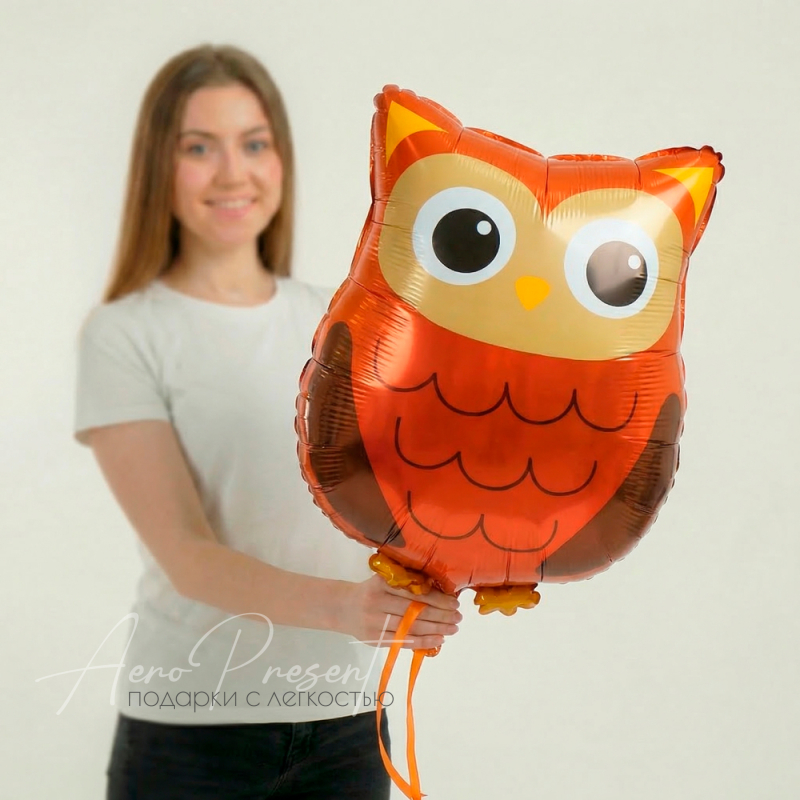 Сова, фольгированный шар