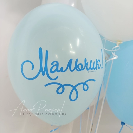 Набор шаров с дельфином на выписку мальчика