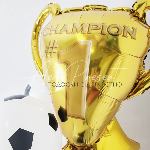 Набор "Чемпиону футбола"