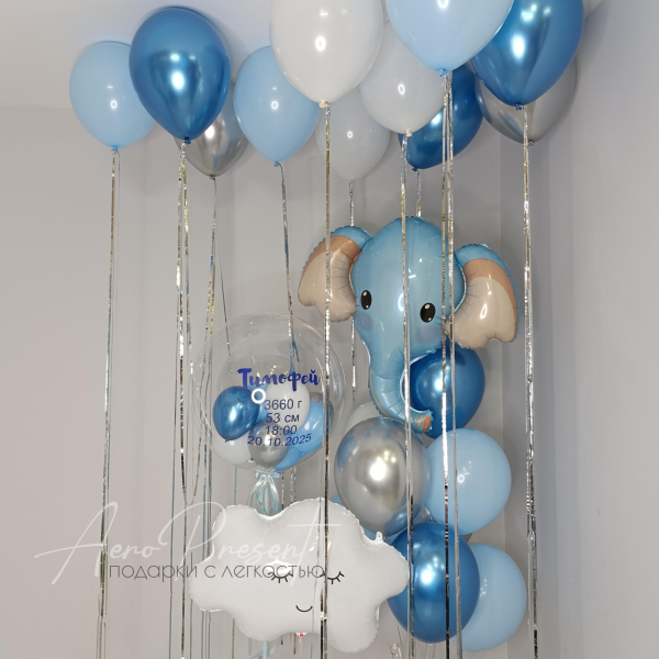 Набор шаров на выписку "Небесное чудо"