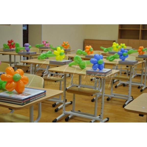 Ромашка для школьника