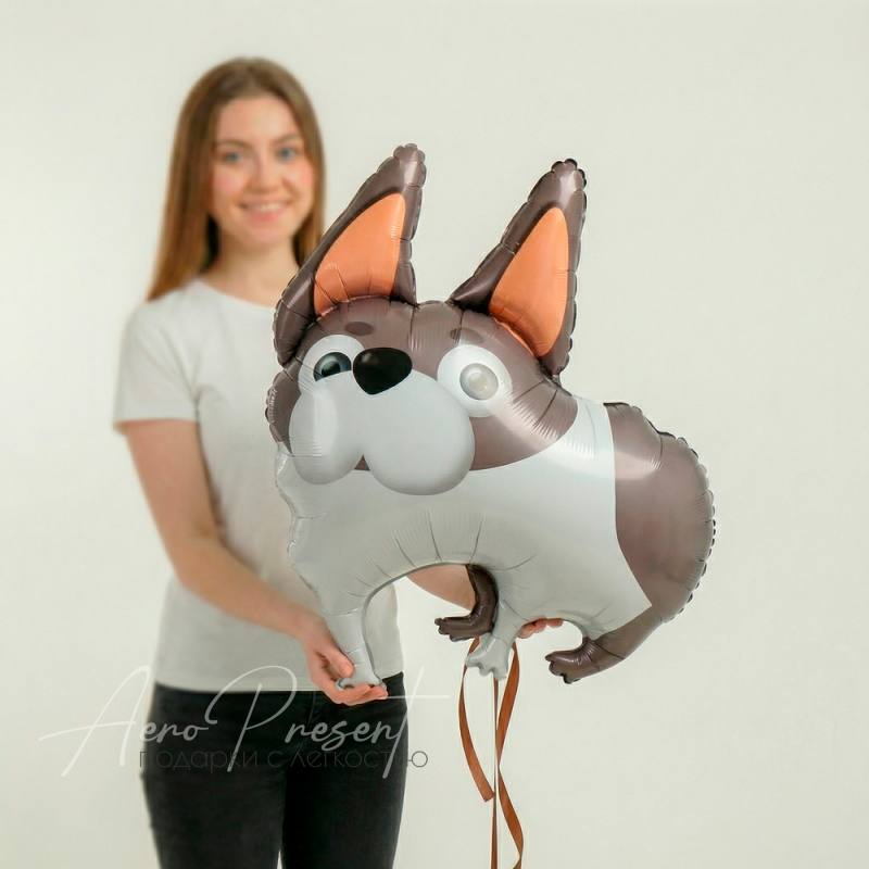 Фольгированный шар Фигура, Бульдог