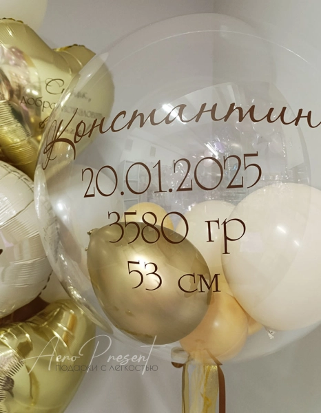 Набор на выписку мальчика с львенком