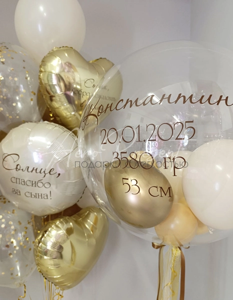 Набор на выписку мальчика с львенком