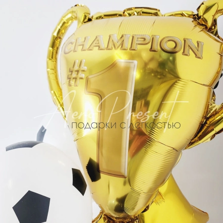 Набор "Чемпиону футбола"